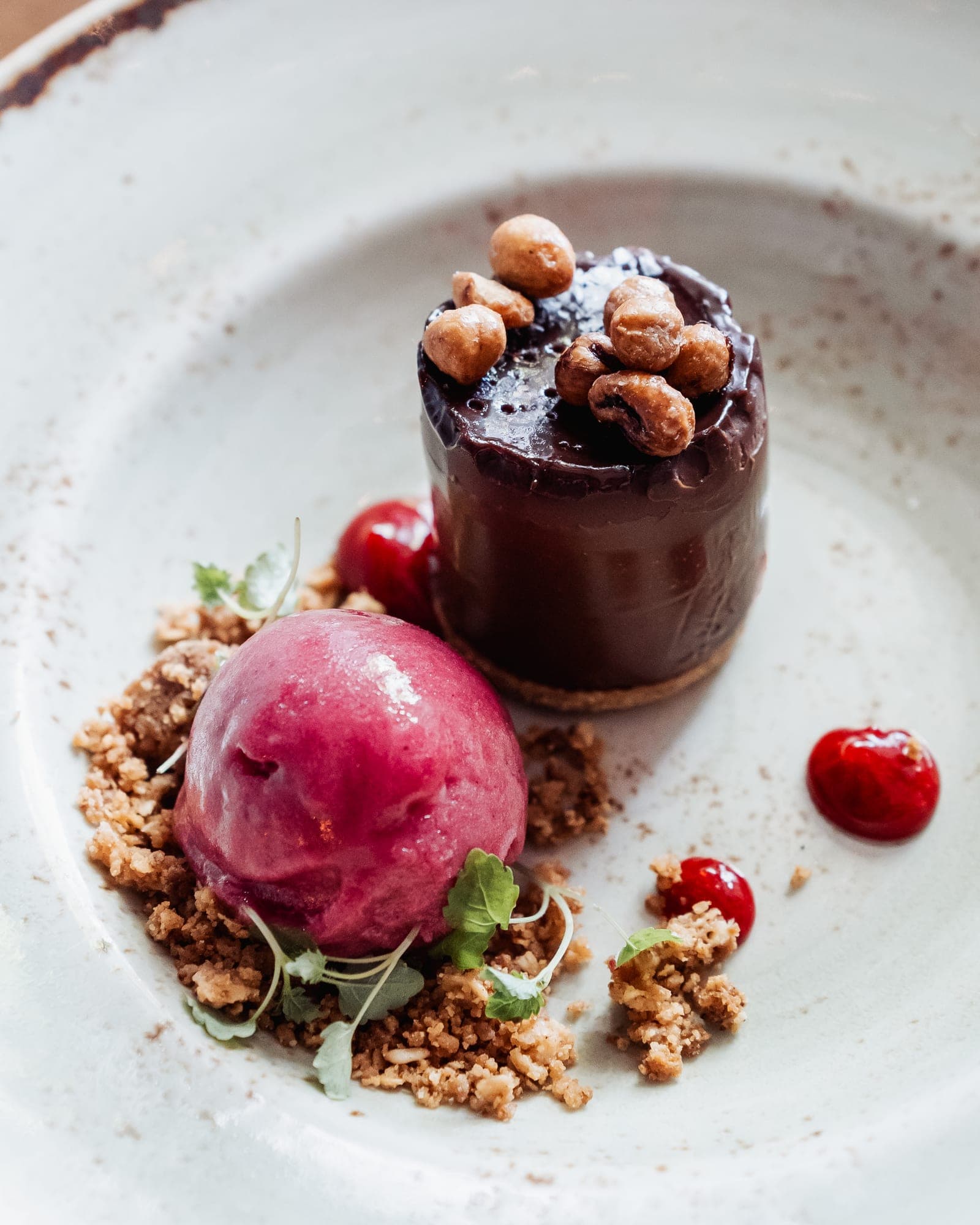 Chocolate dessert with sorbet